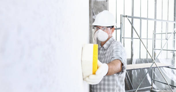 Best Industrial Mold Remediation  in Pantego, TX