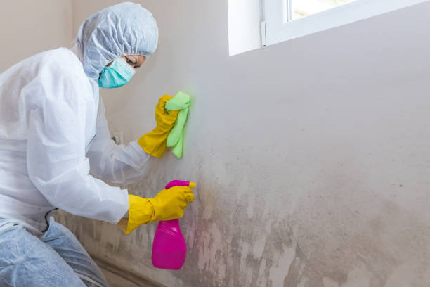 Best Water Damage & Mold Remediation  in Pantego, TX